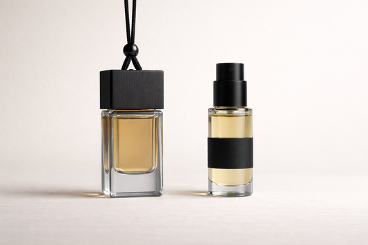 CANVS AIR 04 — VECTOR